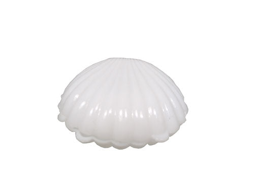 2.5" Medium Sea Shells (12 Pcs)