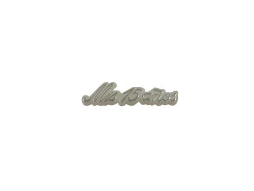 Miniature "Mis 15 Anos" Elegant Charm Sign (12 Pc)