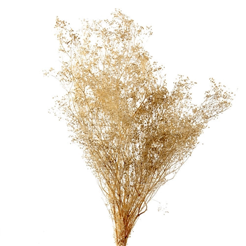 Dried Baby's Breath (1 Pc) – LACrafts
