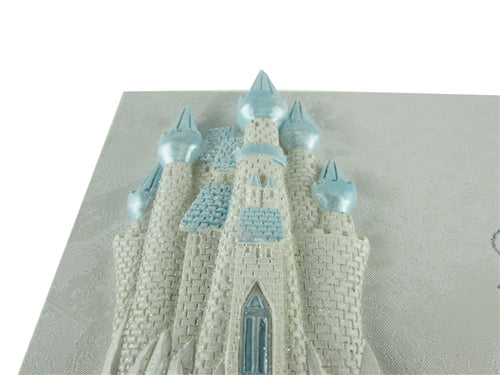 Premium Cinderella Design