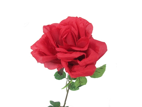 26" Jumbo Rose (12 Pcs)