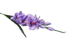 Load image into Gallery viewer, 32&quot; Gladiola Spray (12 Pcs)
