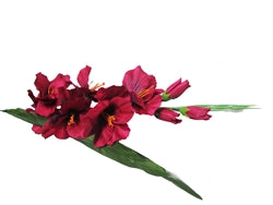 32" Gladiola Spray (12 Pcs)