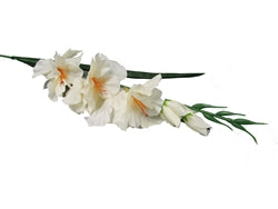 Load image into Gallery viewer, 32&quot; Gladiola Spray (12 Pcs)
