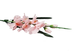 Load image into Gallery viewer, 32&quot; Gladiola Spray (12 Pcs)
