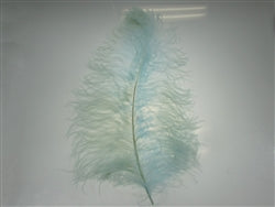 12" Long Feather Plumes (1 Pc)