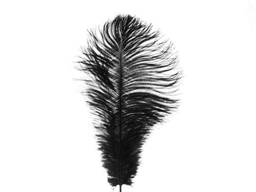 Load image into Gallery viewer, 12&quot; Long Feather Plumes (1 Pc)
