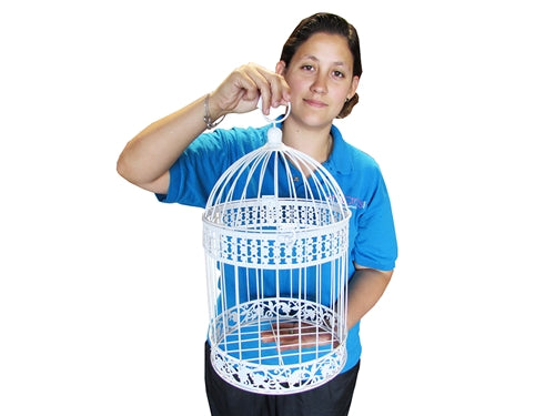Wire Bird Cage - LARGE - Set of 2 (1 Set)