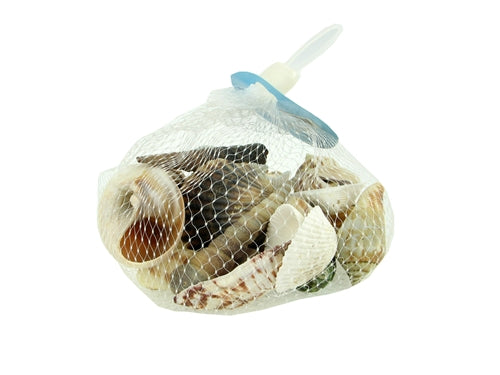 Natural Sea Shells (1 Bag)