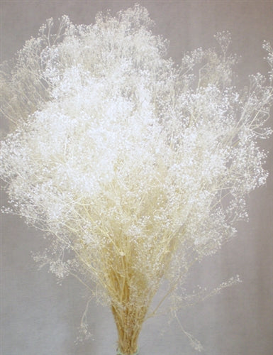 Load image into Gallery viewer, Dried Baby&#39;s Breath (1 Pc)
