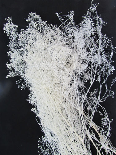 Dried Baby's Breath (1 Pc)