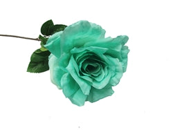 Rosa gigante de 26