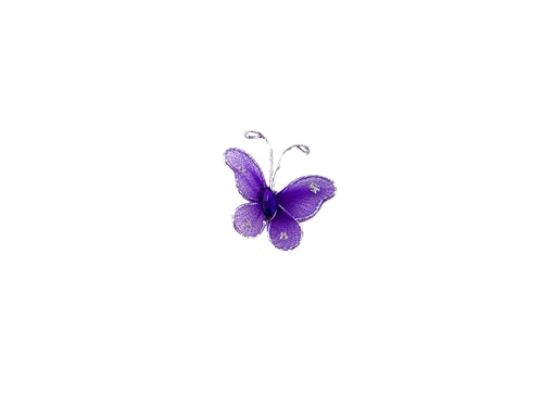 Mariposas transparentes de 1" con borde con alambre (12)