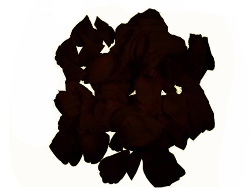 Evershine Rose Petals (300 Pcs), Fuchsia